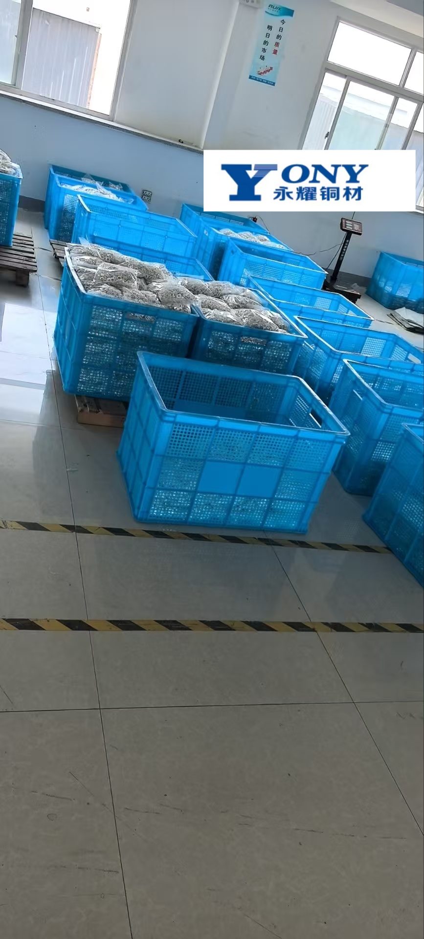 鼻子20